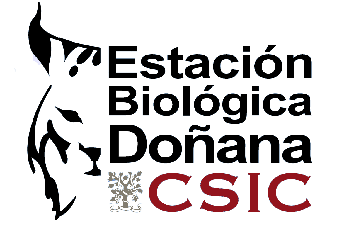 logotipoEBDCSIC_transp